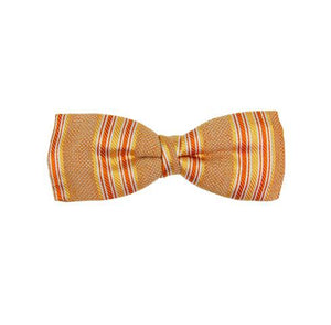 Pre-Tied Bow Tie